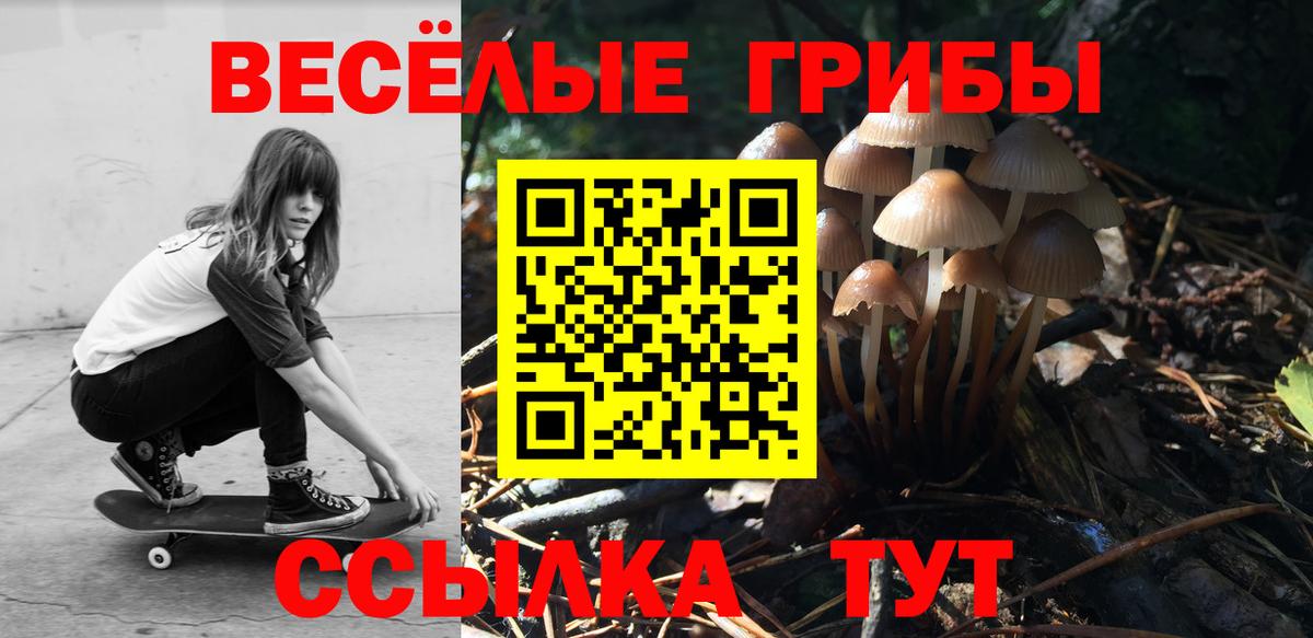 Галлюциногенные грибы GOLDEN TEACHER Новотроицк