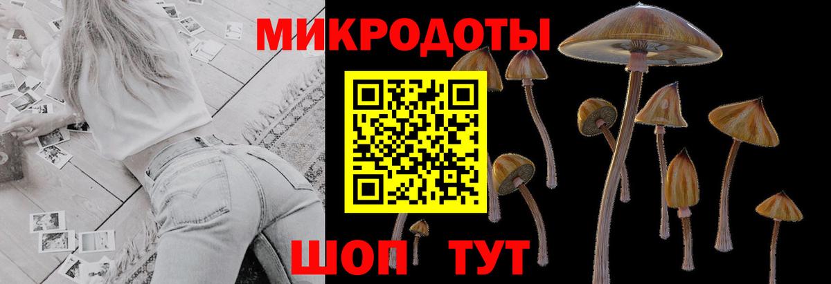 Новотроицк  Галлюциногенные грибы Psilocybe  Вход с VPN 